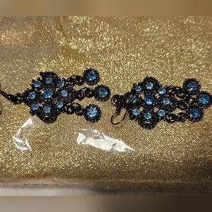 Pretty blue n black earrings